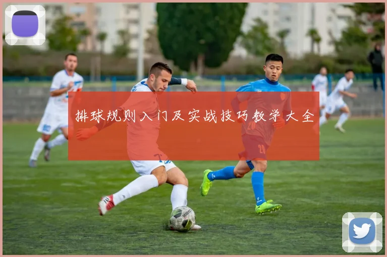 排球规则入门及实战技巧教学大全
